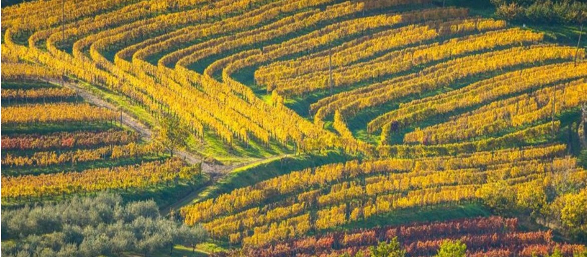 Slowenische Toskana 3 Tage Busreise